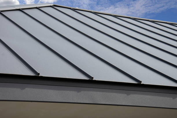 Best Gutter Installation and Repair  in Jenison, MI