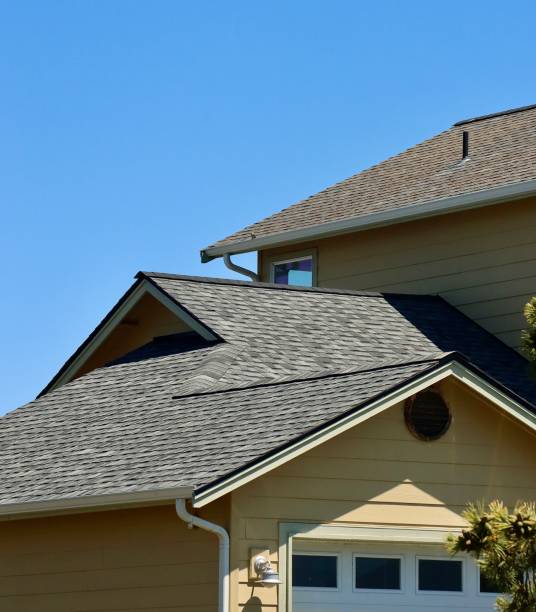 Best Gutter Installation and Repair  in Jenison, MI